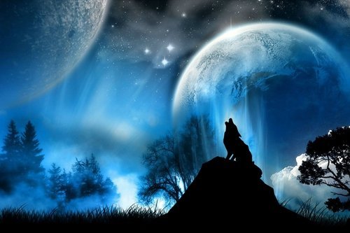Amazon.com: CU.RONG Midnight Wolf Howl Art Print on Canvas,Wall